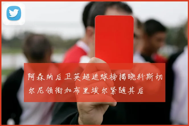 阿森纳后卫英超进球榜揭晓科斯切尔尼领衔加布里埃尔紧随其后